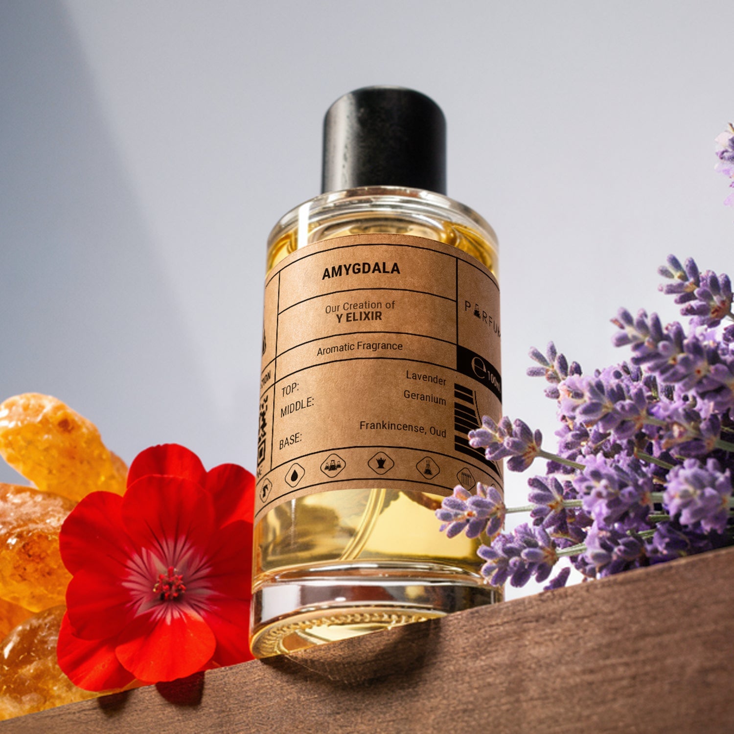 Our Creation of YSL's Y Elixir